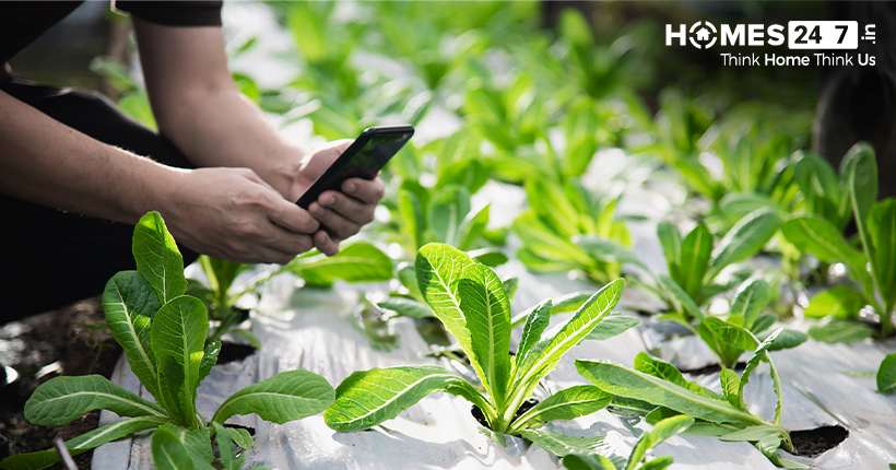 All about Smart Gardening | Homes247.in